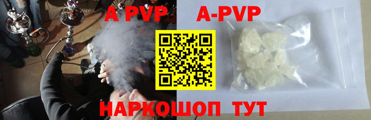 A PVP СК КРИС Киров